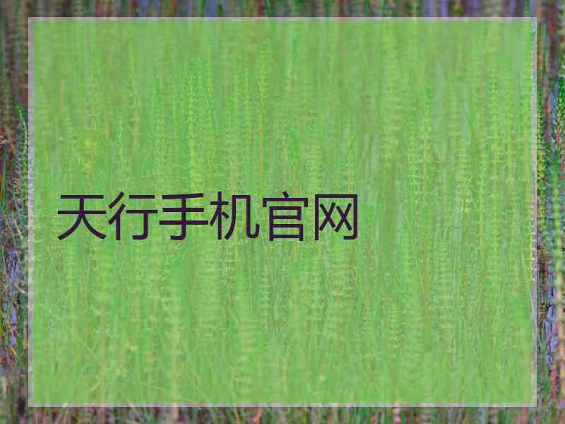 天行手机官网