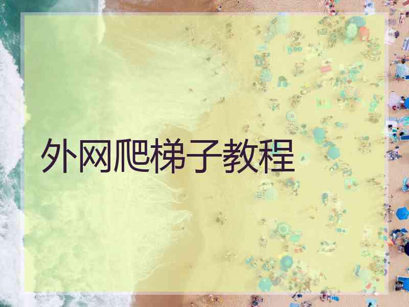 外网爬梯子教程