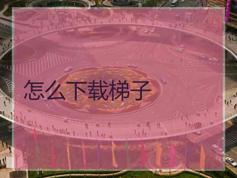 怎么下载梯子