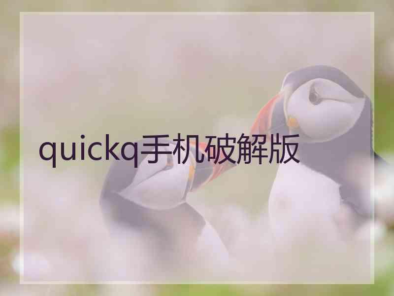 quickq手机破解版