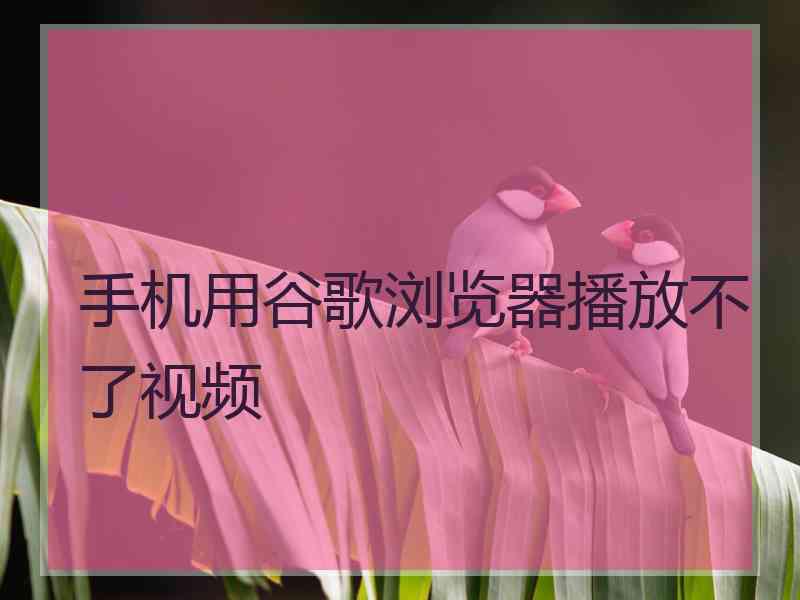 手机用谷歌浏览器播放不了视频