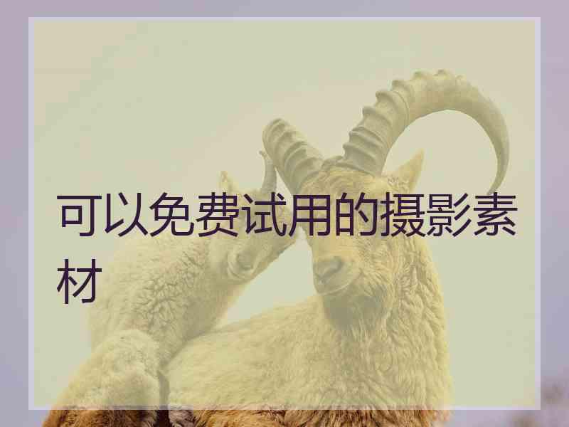 可以免费试用的摄影素材