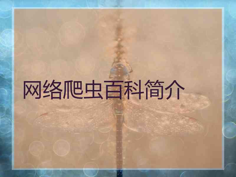 网络爬虫百科简介