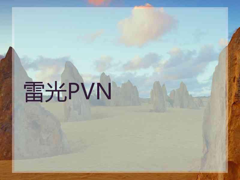 雷光PVN