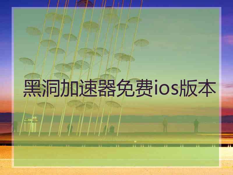 黑洞加速器免费ios版本
