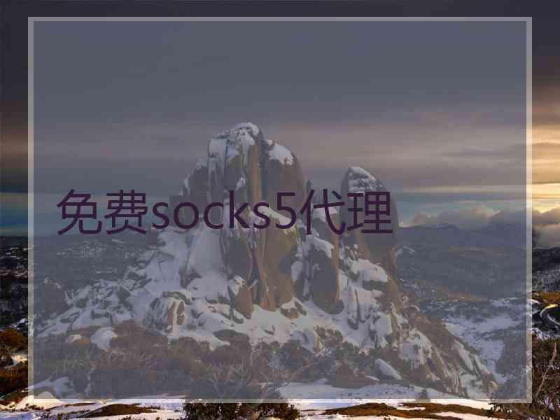 免费socks5代理