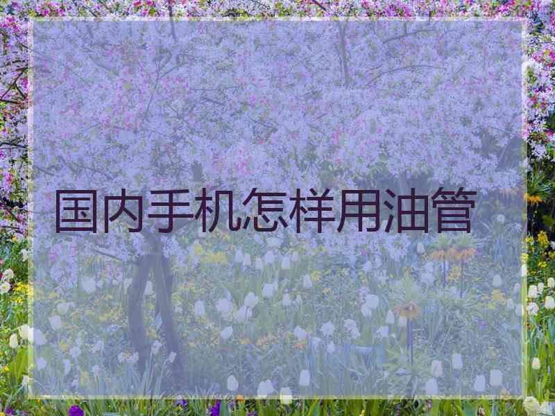 国内手机怎样用油管