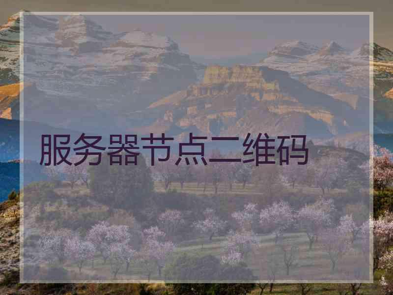 服务器节点二维码
