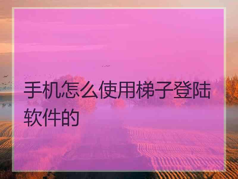 手机怎么使用梯子登陆软件的
