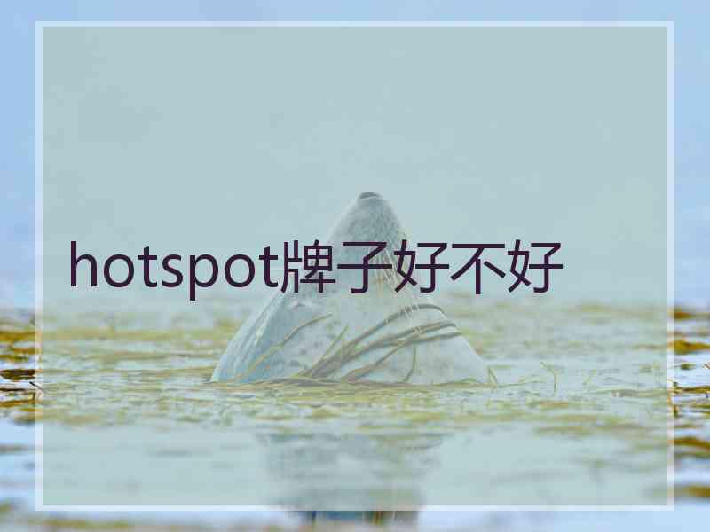 hotspot牌子好不好