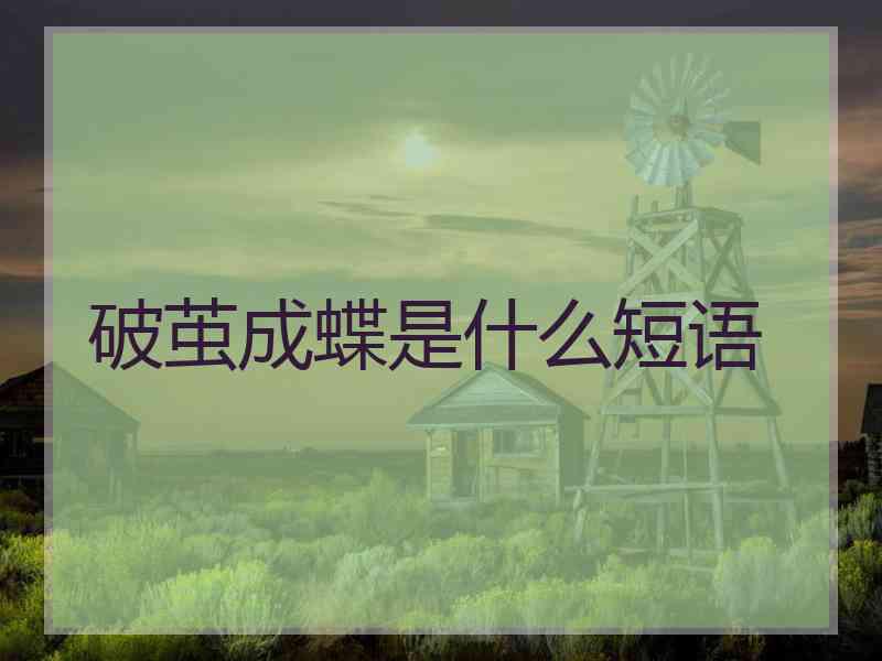 破茧成蝶是什么短语