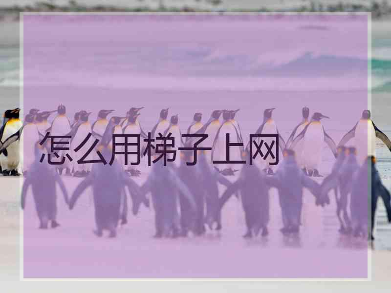 怎么用梯子上网