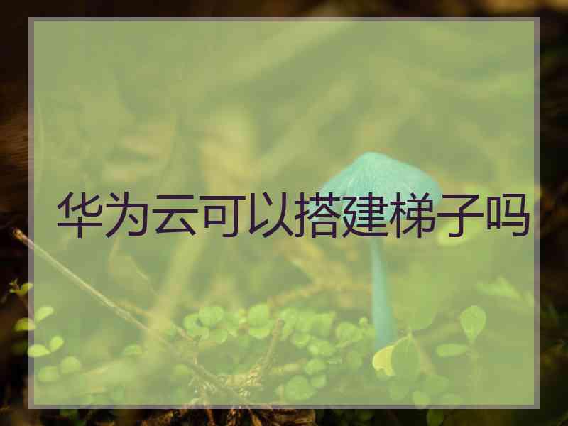 华为云可以搭建梯子吗
