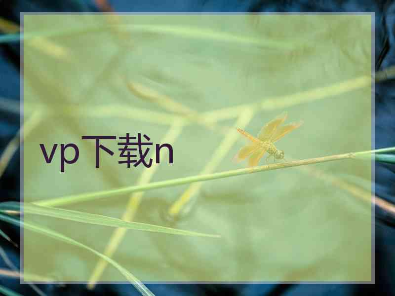 vp下载n
