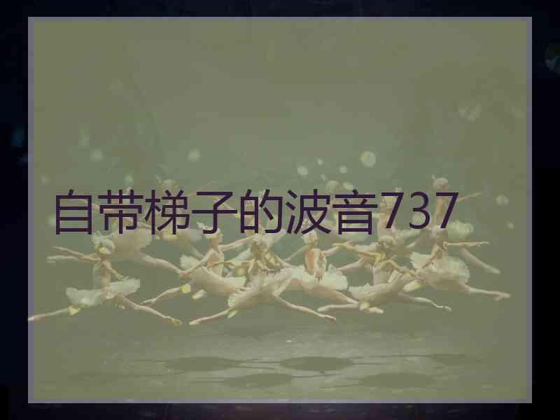 自带梯子的波音737