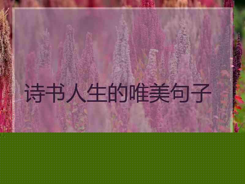 诗书人生的唯美句子