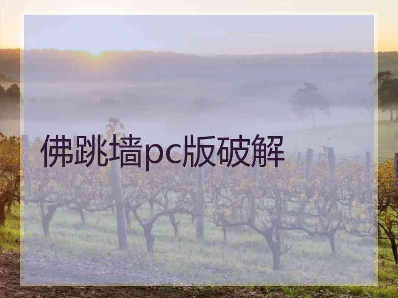 佛跳墙pc版破解