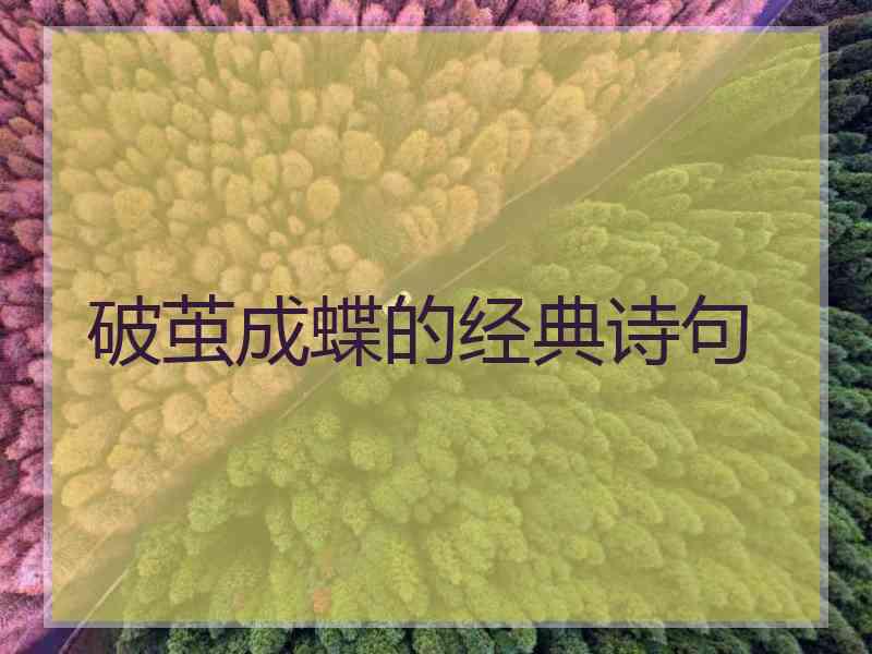 破茧成蝶的经典诗句