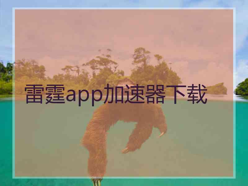雷霆app加速器下载