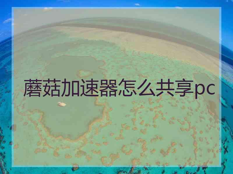 蘑菇加速器怎么共享pc