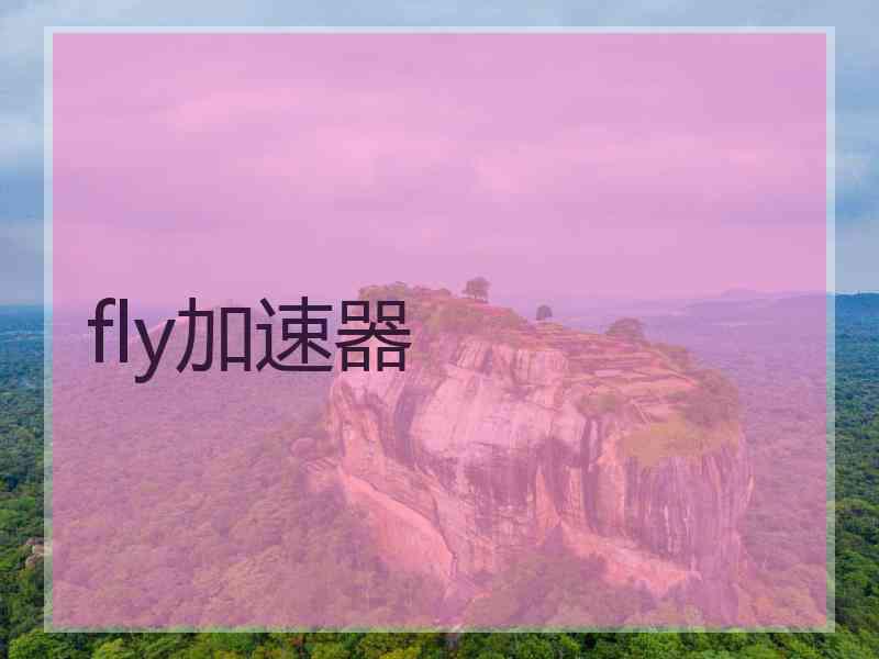 fly加速器