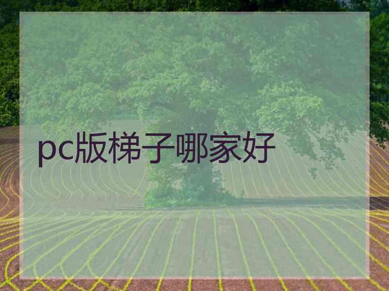 pc版梯子哪家好