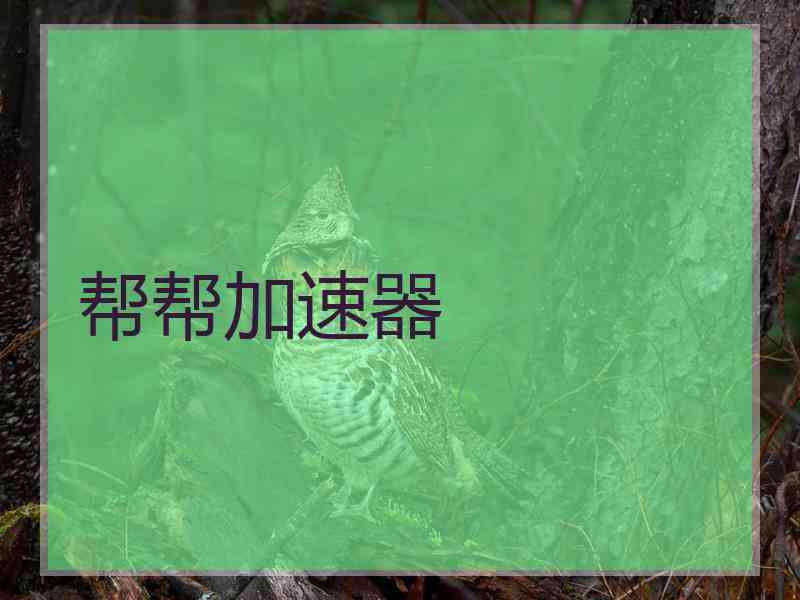 帮帮加速器
