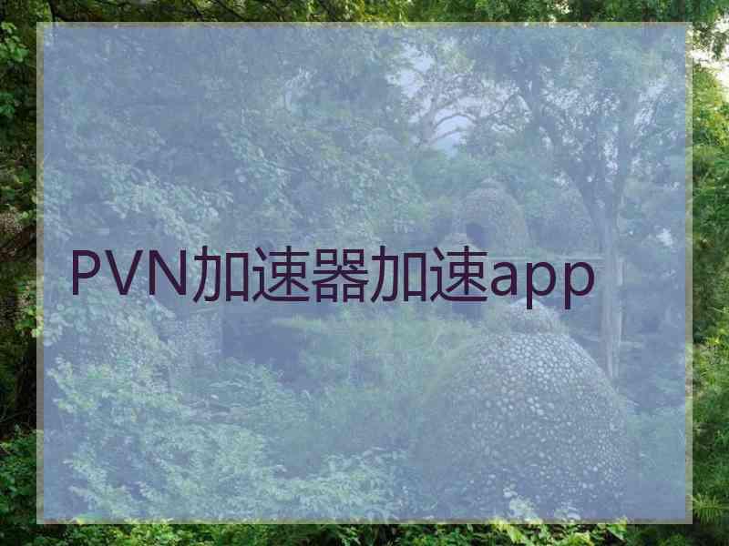 PVN加速器加速app
