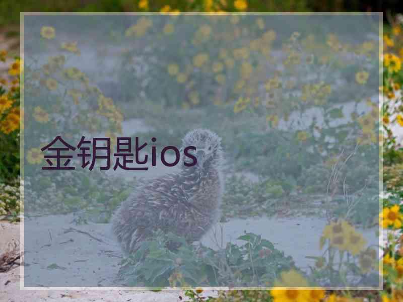 金钥匙ios