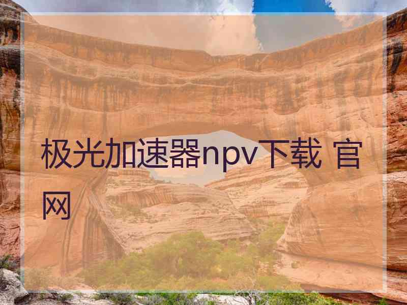 极光加速器npv下载 官网