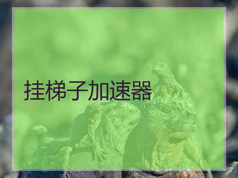 挂梯子加速器
