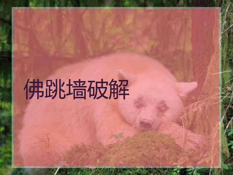 佛跳墙破解