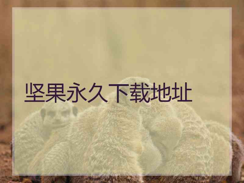 坚果永久下载地址