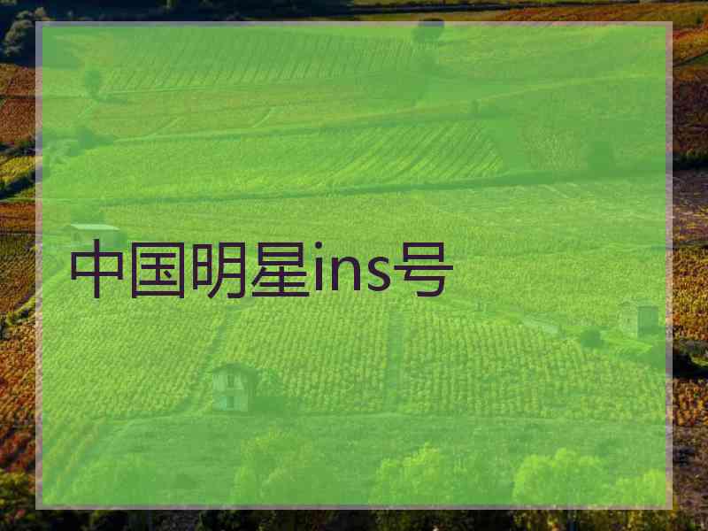 中国明星ins号