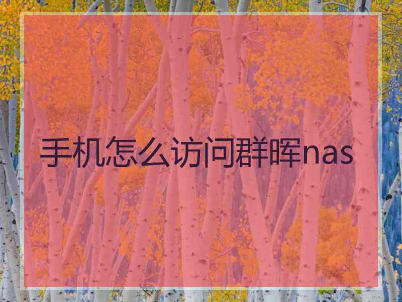 手机怎么访问群晖nas