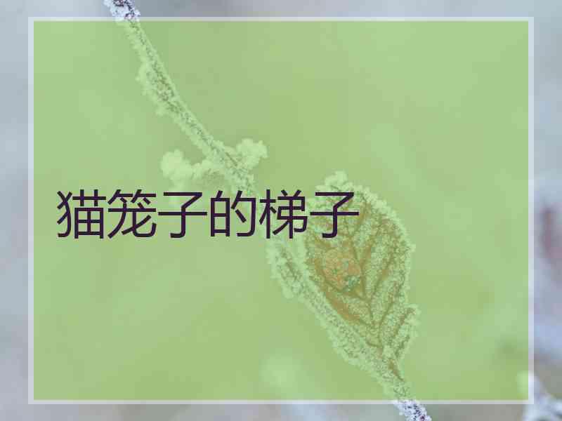 猫笼子的梯子