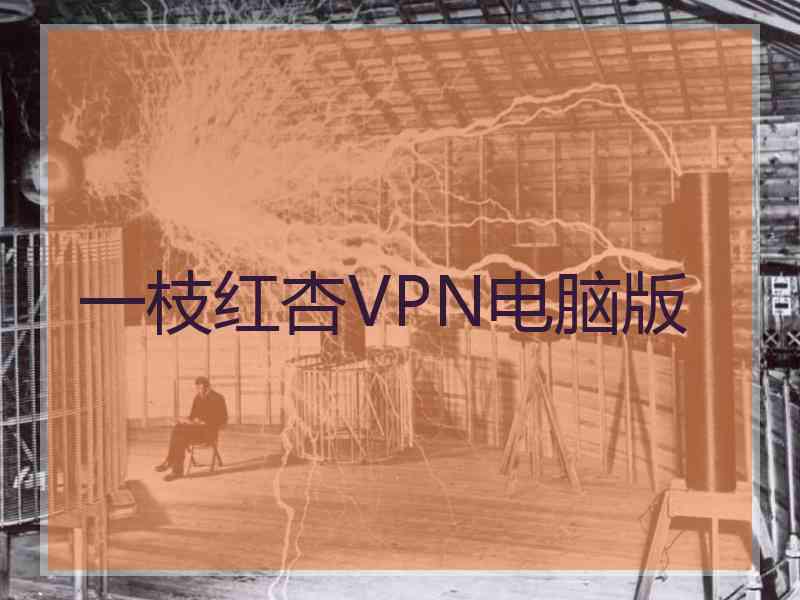 一枝红杏VPN电脑版