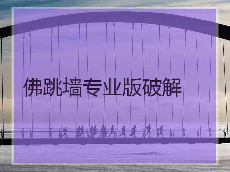 佛跳墙专业版破解