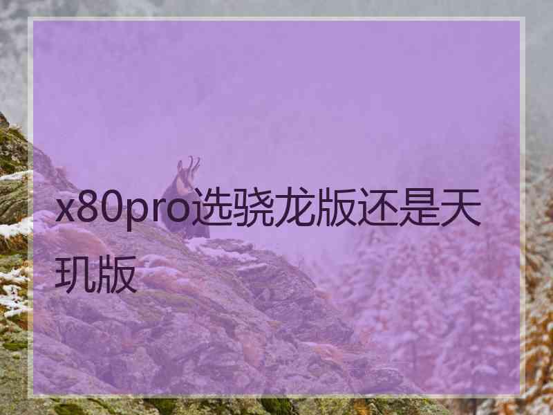 x80pro选骁龙版还是天玑版