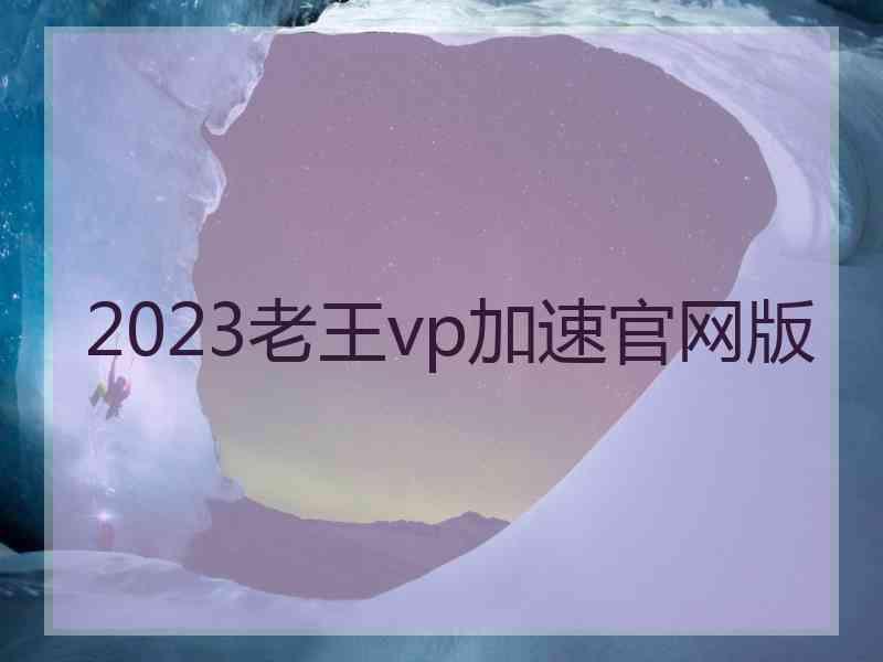 2023老王vp加速官网版