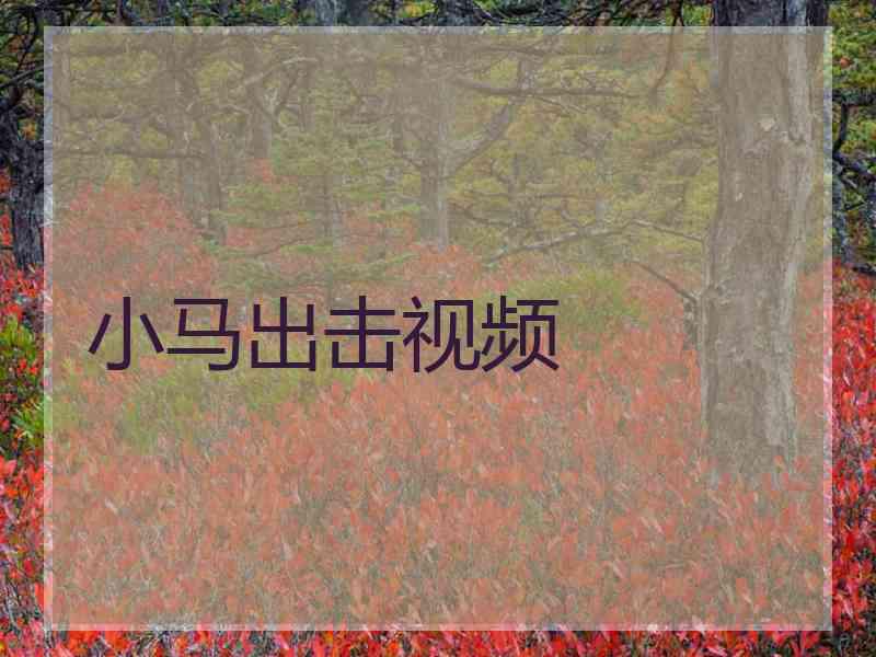 小马出击视频