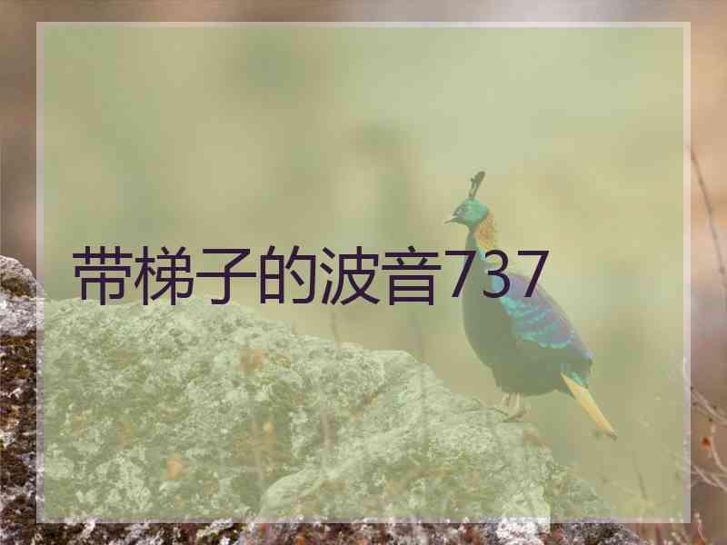 带梯子的波音737