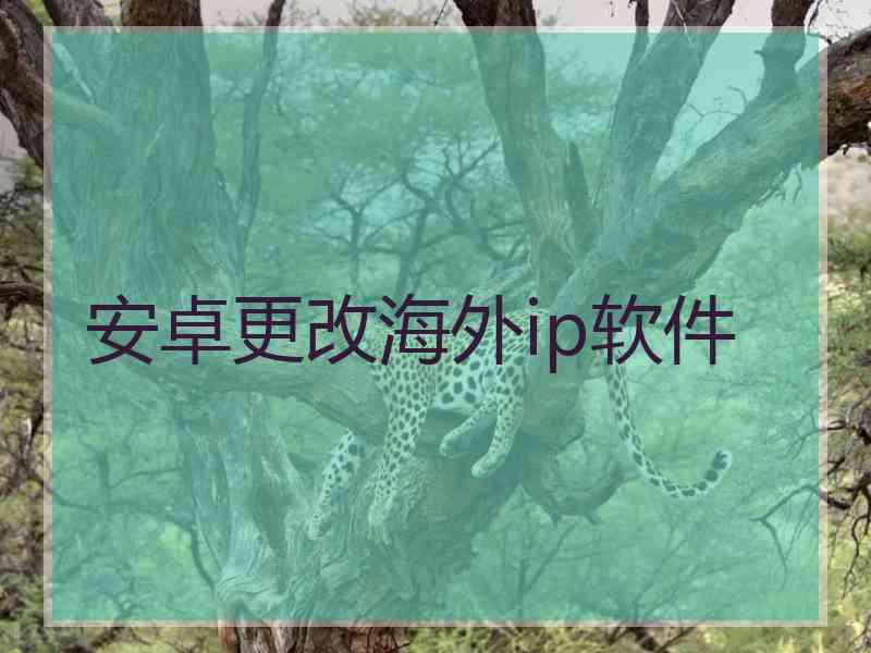 安卓更改海外ip软件