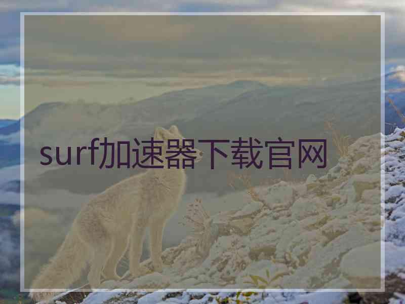 surf加速器下载官网