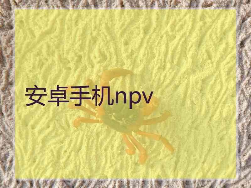 安卓手机npv