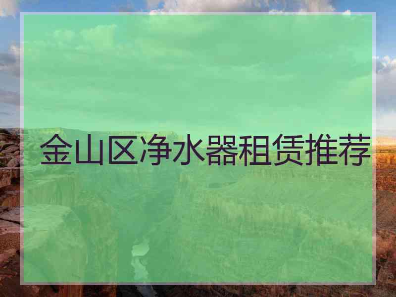 金山区净水器租赁推荐