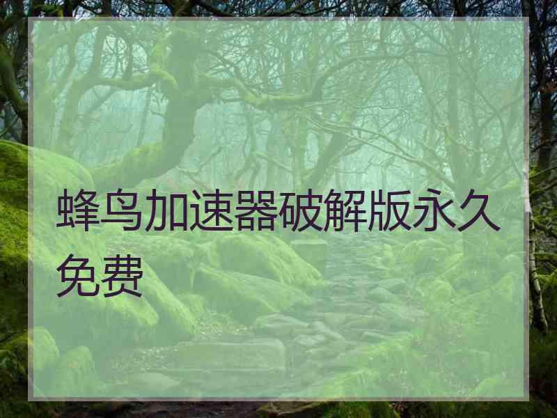 蜂鸟加速器破解版永久免费