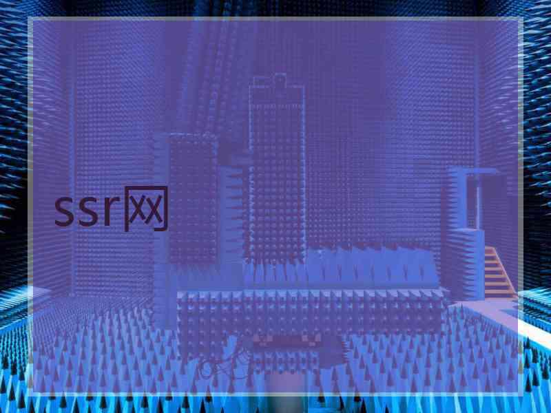 ssr网
