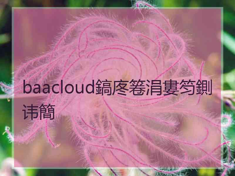 baacloud鎬庝箞涓婁笉鍘讳簡