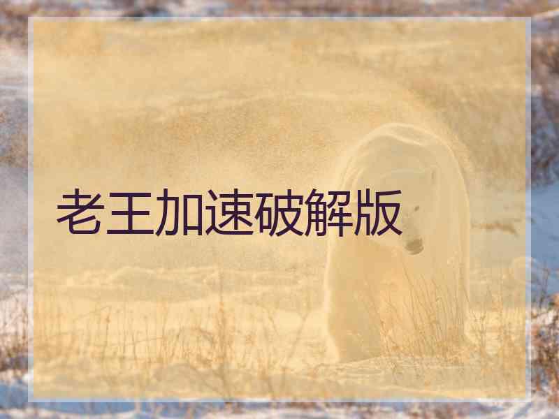 老王加速破解版